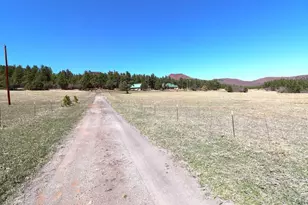 3990 Northcreek Rd, Beulah, CO 81023 - Photo 61