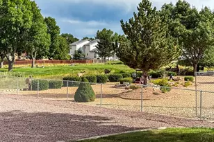 293 W Hahns Peak Ave, Pueblo West, CO 81007 - Photo 43