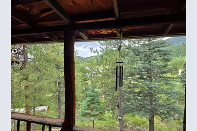 82 Goldhill Drive, Rye, CO 81069 - Photo 19