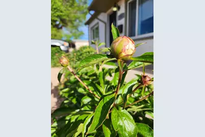 3503 Baystate Ave, Pueblo, CO 81005 - Photo 39