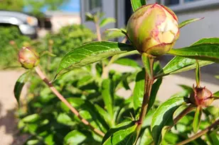 3503 Baystate Ave, Pueblo, CO 81005 - Photo 39