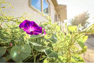 3503 Baystate Ave, Pueblo, CO 81005 - Photo 43