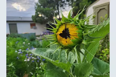 3503 Baystate Ave, Pueblo, CO 81005 - Photo 33