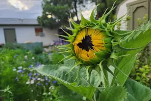 3503 Baystate Ave, Pueblo, CO 81005 - Photo 33