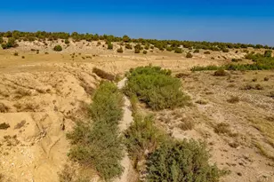 7120 Salt Creek Rd, Pueblo, CO 81004 - Photo 67