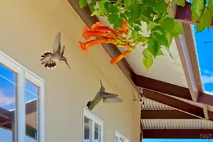 7120 Salt Creek Rd, Pueblo, CO 81004 - Photo 49