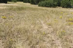 3485 Canyon Heights Rd, Pueblo, CO 81005 - Photo 19