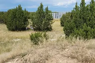 3485 Canyon Heights Rd, Pueblo, CO 81005 - Photo 21