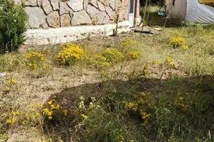 3485 Canyon Heights Rd, Pueblo, CO 81005 - Photo 15