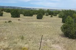 3485 Canyon Heights Rd, Pueblo, CO 81005 - Photo 49