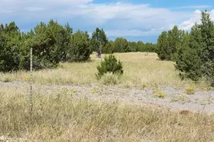 3485 Canyon Heights Rd, Pueblo, CO 81005 - Photo 17