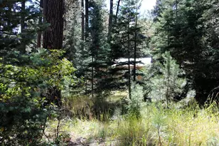 Tbd Mariposa Ave, Rye, CO 81069 - Photo 7