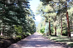 Tbd Mariposa Ave, Rye, CO 81069 - Photo 3