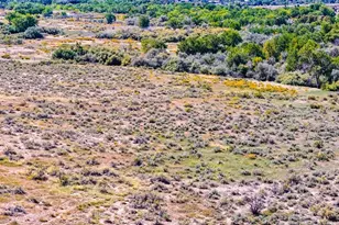 977 Co Rd 230, Walsenburg, CO 81089 - Photo 13