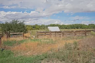 977 Co Rd 230, Walsenburg, CO 81089 - Photo 11