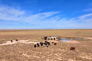 6216 Moreland Rd, Boone, CO 81025 - Photo 33