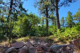 8946 Cottonwood Dr, Beulah, CO 81023 - Photo 53