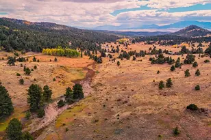 9496 Co Rd 328, Westcliffe, CO 81252 - Photo 3