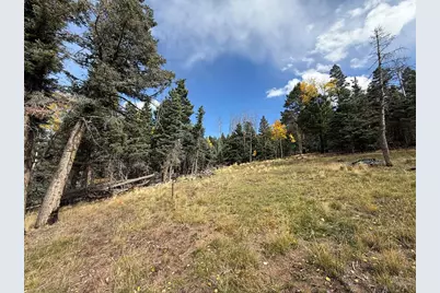 3726 Hwy 165, Wetmore, CO 81253 - Photo 43