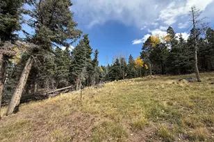 3726 Hwy 165, Wetmore, CO 81253 - Photo 43