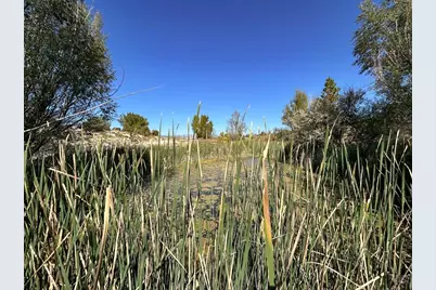 1785 County Rd 120, Penrose, CO 81240 - Photo 27