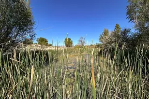 1785 County Rd 120, Penrose, CO 81240 - Photo 27