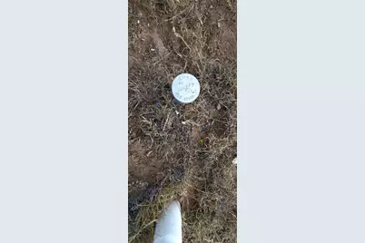 Tbd County Rd 524, Walsenburg, CO 81089 - Photo 5