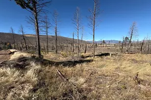 1069 Reed Ln, Fort Garland, CO 81133 - Photo 1