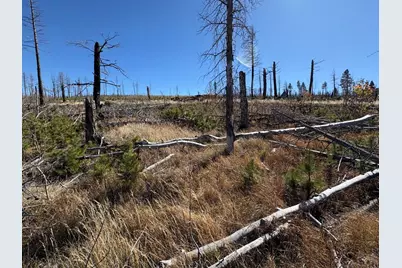 1070 Reed Ln, Fort Garland, CO 81133 - Photo 1