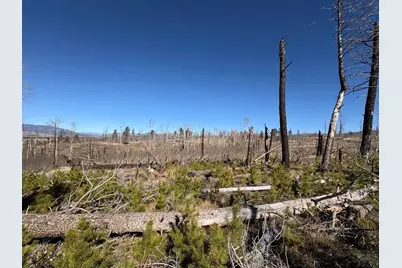 1070 Reed Ln, Fort Garland, CO 81133 - Photo 5