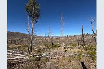 1070 Reed Ln, Fort Garland, CO 81133 - Photo 3