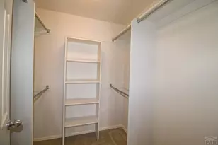 5435 Lion's Gate Ln, Colorado Springs, CO 80919 - Photo 39