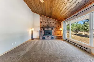 8068 Elna, Rye, CO 81069 - Photo 3