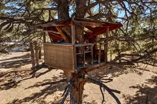 8068 Elna, Rye, CO 81069 - Photo 65