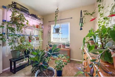 1036 S Los Charros Dr, Pueblo West, CO 81007 - Photo 19