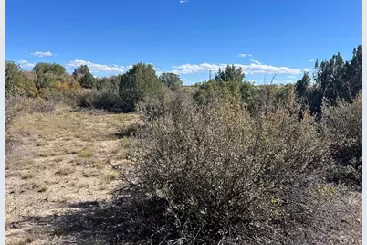 Tbd Cripple Creek Dr., Colorado City, CO 81019 - Photo 15