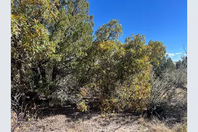 Tbd Cripple Creek Dr., Colorado City, CO 81019 - Photo 9