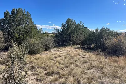 Tbd Cripple Creek Dr., Colorado City, CO 81019 - Photo 11