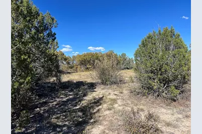 Tbd Cripple Creek Dr., Colorado City, CO 81019 - Photo 19