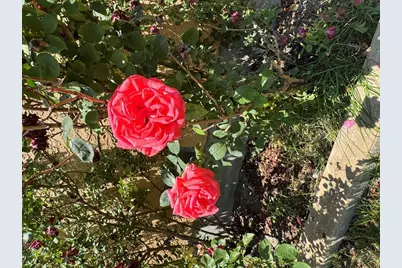 1645 Cherrywood Lane, Pueblo, CO 81005 - Photo 3