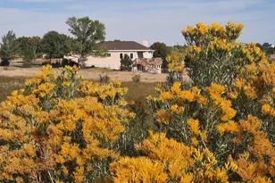 5741 St Charles River Dr, Pueblo, CO 81004 - Photo 91