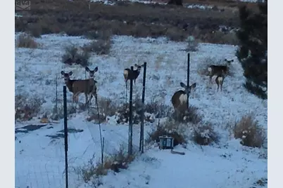 5741 St Charles River Dr, Pueblo, CO 81004 - Photo 99