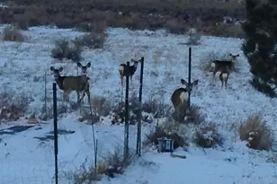 5741 St Charles River Dr, Pueblo, CO 81004 - Photo 99