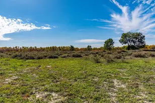 35766 E Hwy 96, Pueblo, CO 81006 - Photo 3