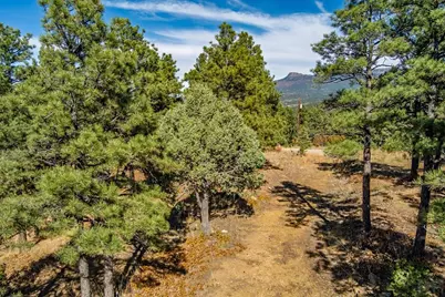 33250 Fox Trail, Trinidad, CO 81082 - Photo 11