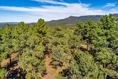 33250 Fox Trail, Trinidad, CO 81082 - Photo 19