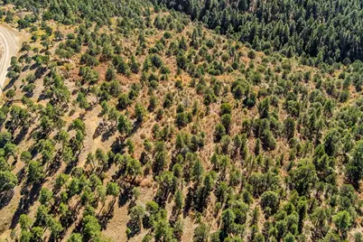 33250 Fox Trail, Trinidad, CO 81082 - Photo 21