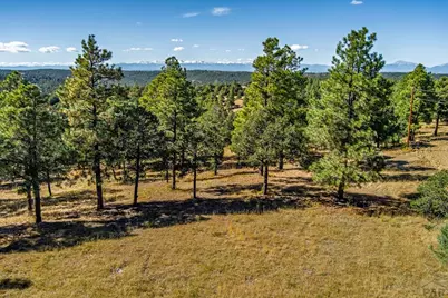 33250 Fox Trail, Trinidad, CO 81082 - Photo 17