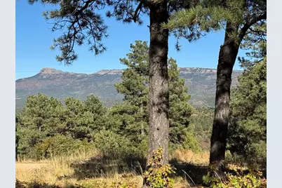 33250 Fox Trail, Trinidad, CO 81082 - Photo 5