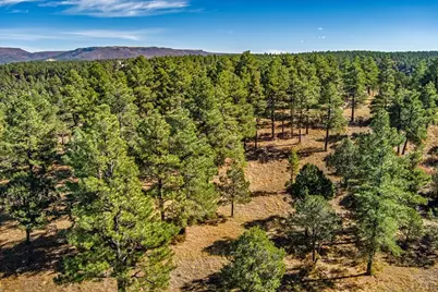 33250 Fox Trail, Trinidad, CO 81082 - Photo 13